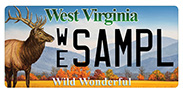 Wildlife - Eastern Elk