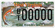 Wildlife - Brook Trout